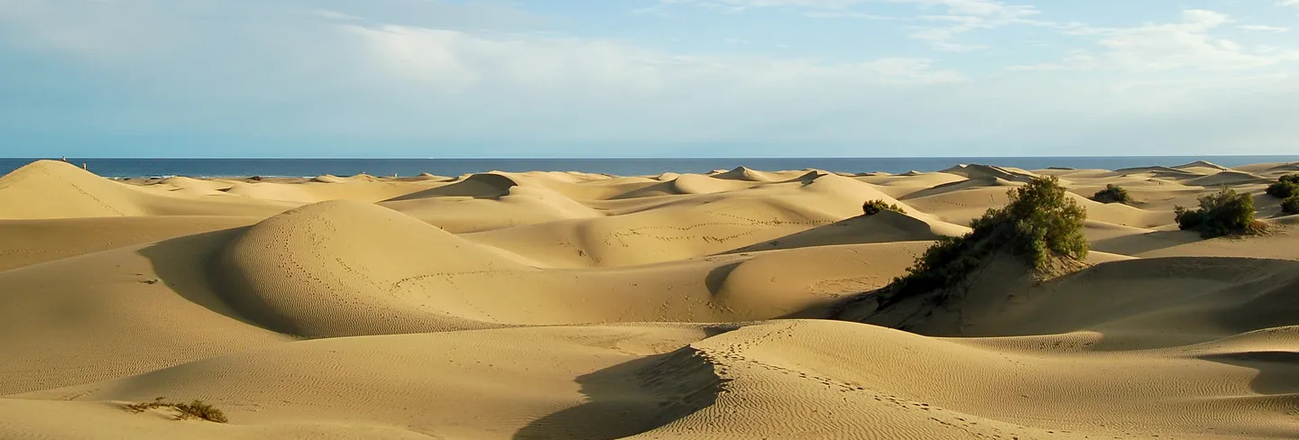 Paysage des Îles Canaries
